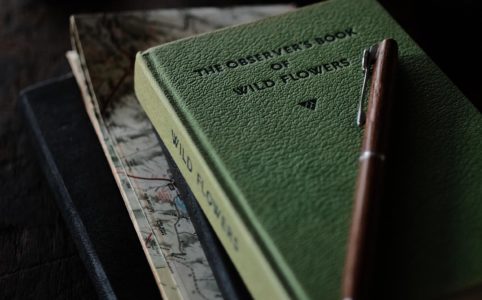 The Observer's Book of WILD FLOWERS
