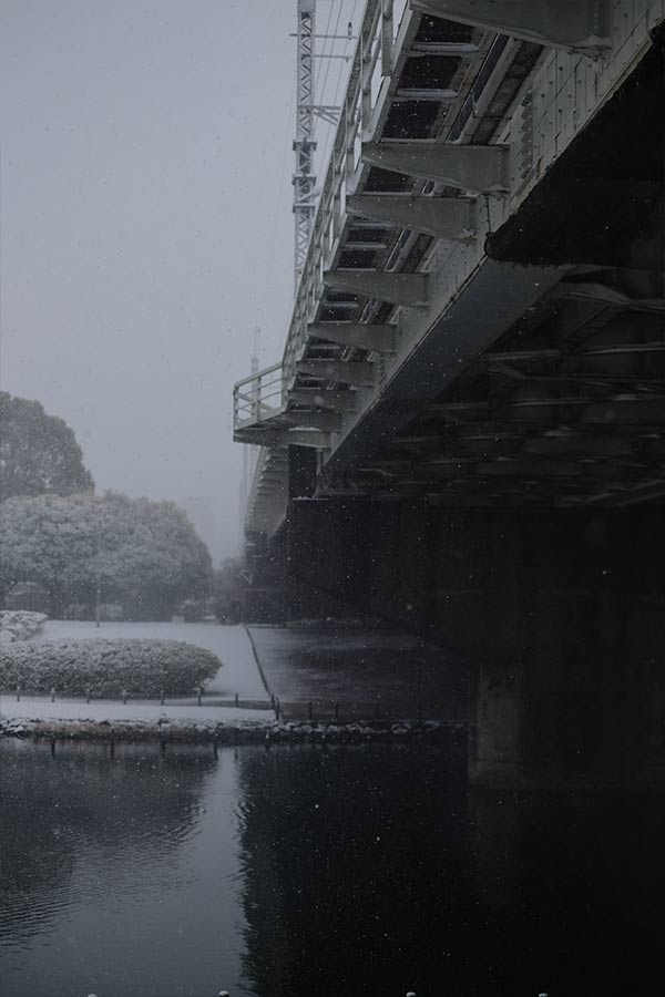 霞む鉄道橋