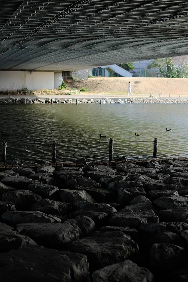 江東新橋の下